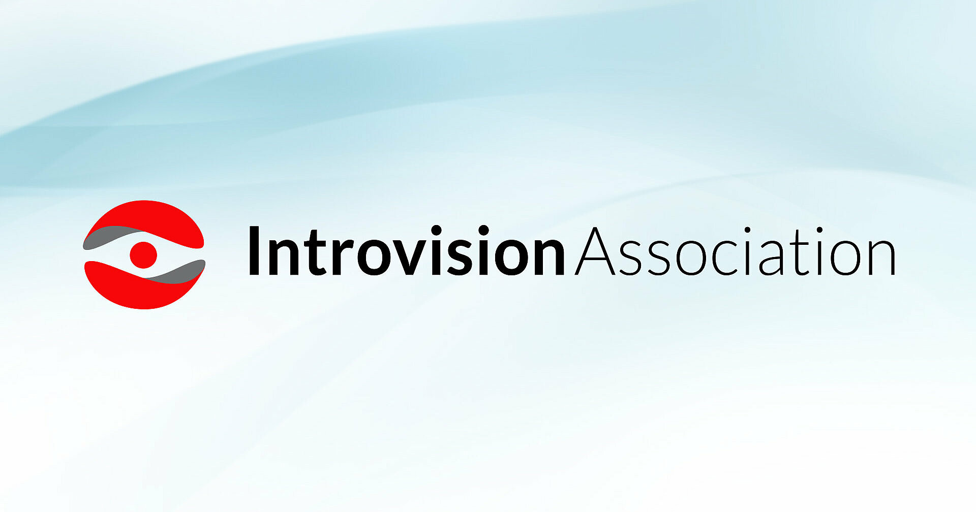 (c) Introvision-association.com